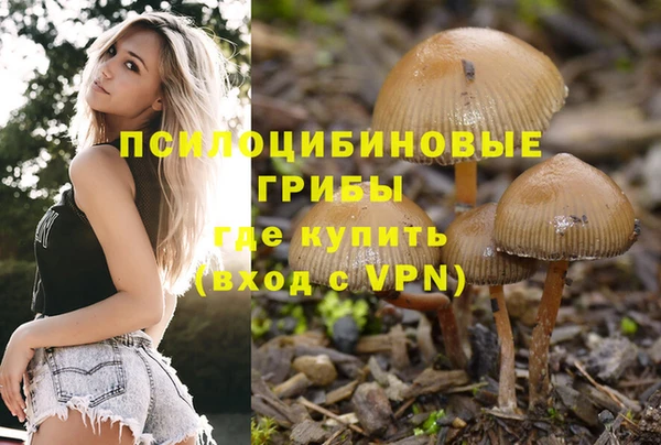 гидропоника Алзамай