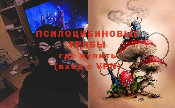 гидропоника Алзамай