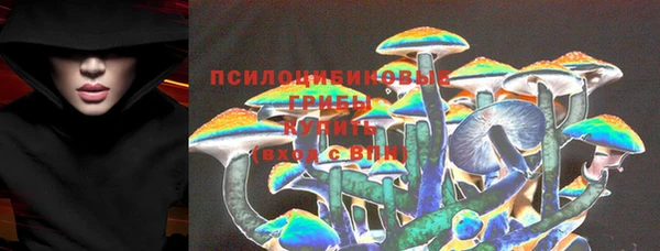 хмурый Алексеевка